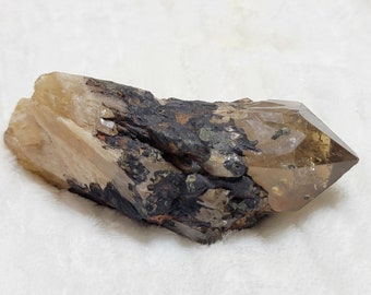 May include: A large, clear quartz crystal with a smoky brown hue. The crystal is embedded in a matrix of dark brown and black rock. The crystal has a sharp point and is partially covered in a layer of small, green crystals.