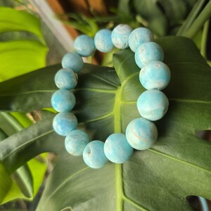 May include: A light blue beaded bracelet with a marbled effect. The bracelet is made of round beads and is displayed on a large green leaf.