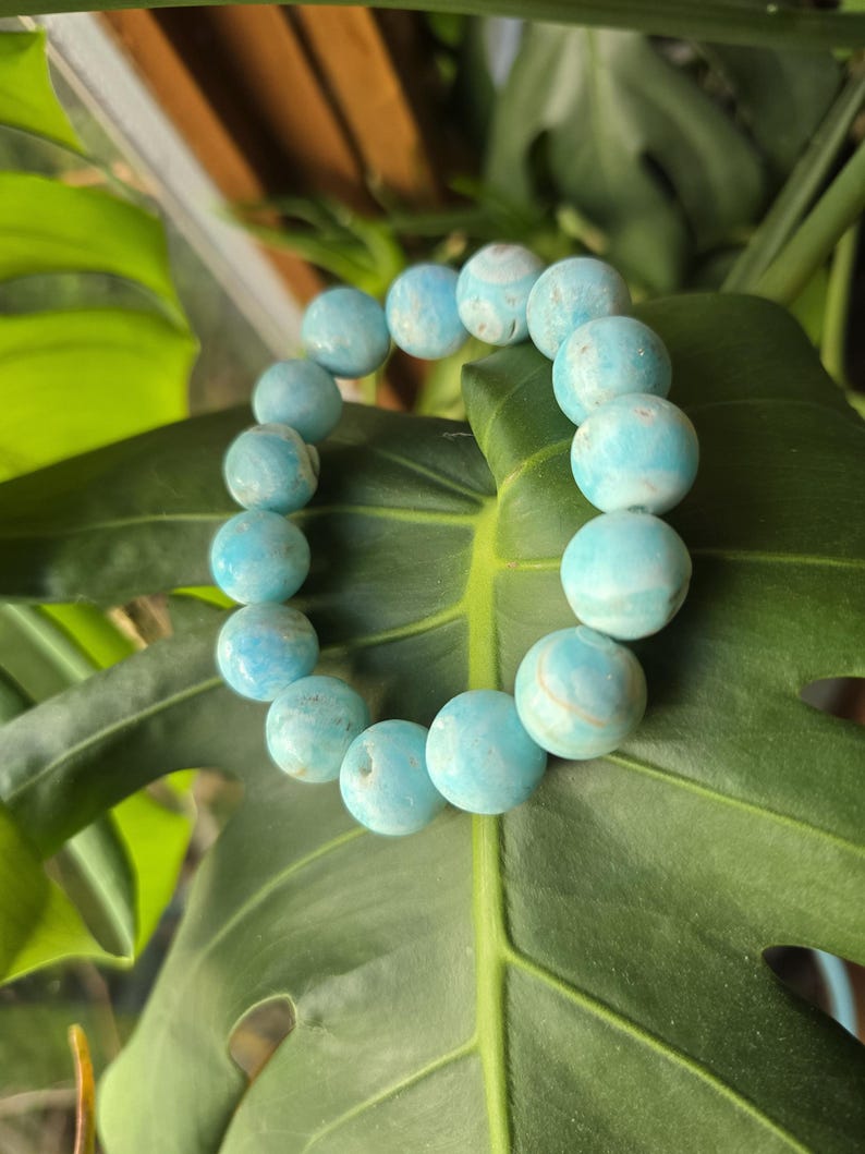 May include: A light blue beaded bracelet with a marbled effect. The bracelet is made of round beads and is displayed on a large green leaf.