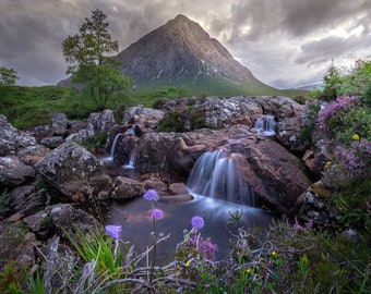 Bloomin' Buachaille Etive Mor