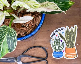 Homebodies Houseplant Sticker · Waterproof and UV Resistant Vinyl Decal · Plant Gift