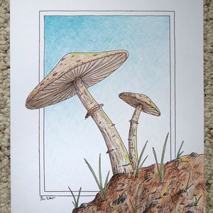 Original Mushroom Drawing, Modern Mushrooms, Minimal Mushroom Drawing, Mushroom Wall Art