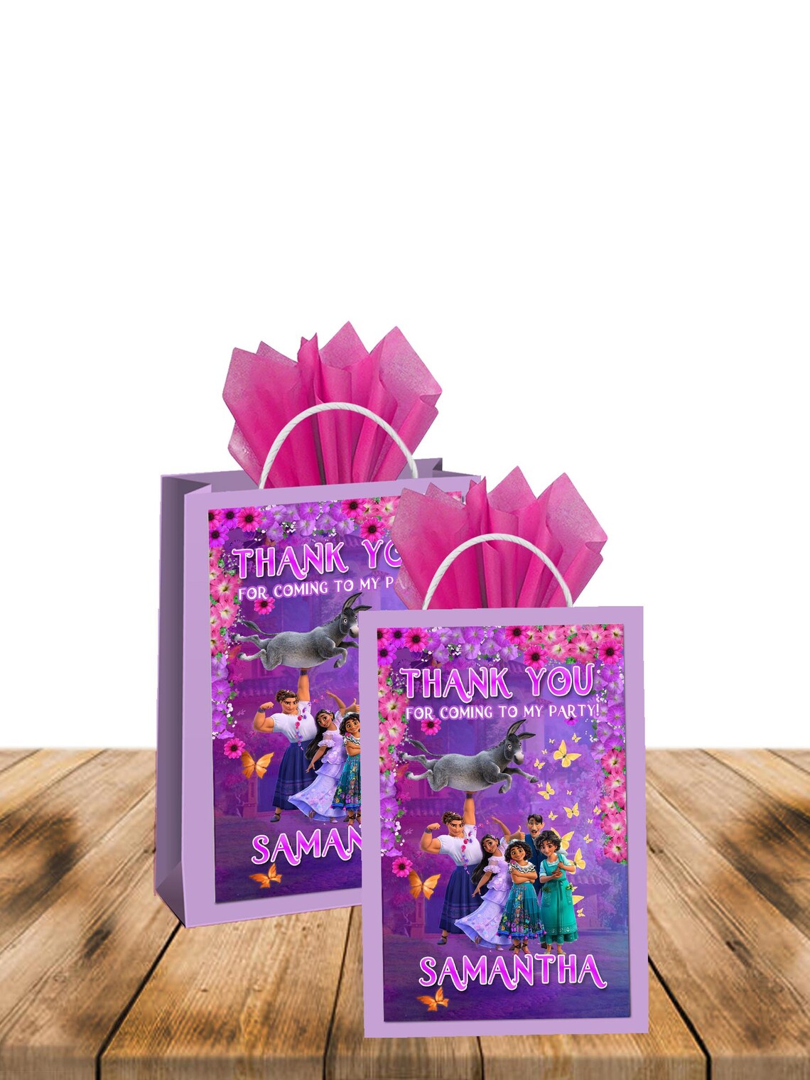 Encanto Favor Bags Gift Bags Candy Bags 12pack Etsy