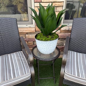 May include: A large, green artificial agave plant in a white textured pot filled with green moss. The plant sits on a small glass-topped table between two dark wicker chairs with striped cushions. The background features a brick wall and windows.