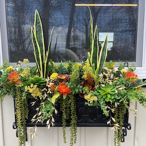 May include: A black metal window box planter filled with a variety of green plants, succulents, and orange flowers. The planter has a decorative design and hangs from a white wall.