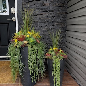 May include: Two black cylindrical planters filled with a variety of succulents and greenery. The planters are on a wooden deck, with a black door and textured wall in the background. The plants include trailing vines and colorful succulents.