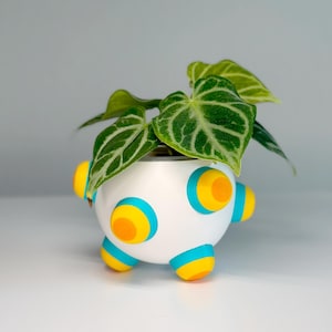 Nubby Planter | 3.5&quot; 3D Printed Pot for Houseplants