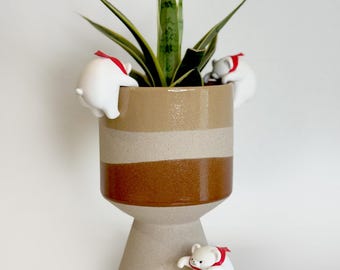 Bearly Hanging in There Buddy Plant Decor