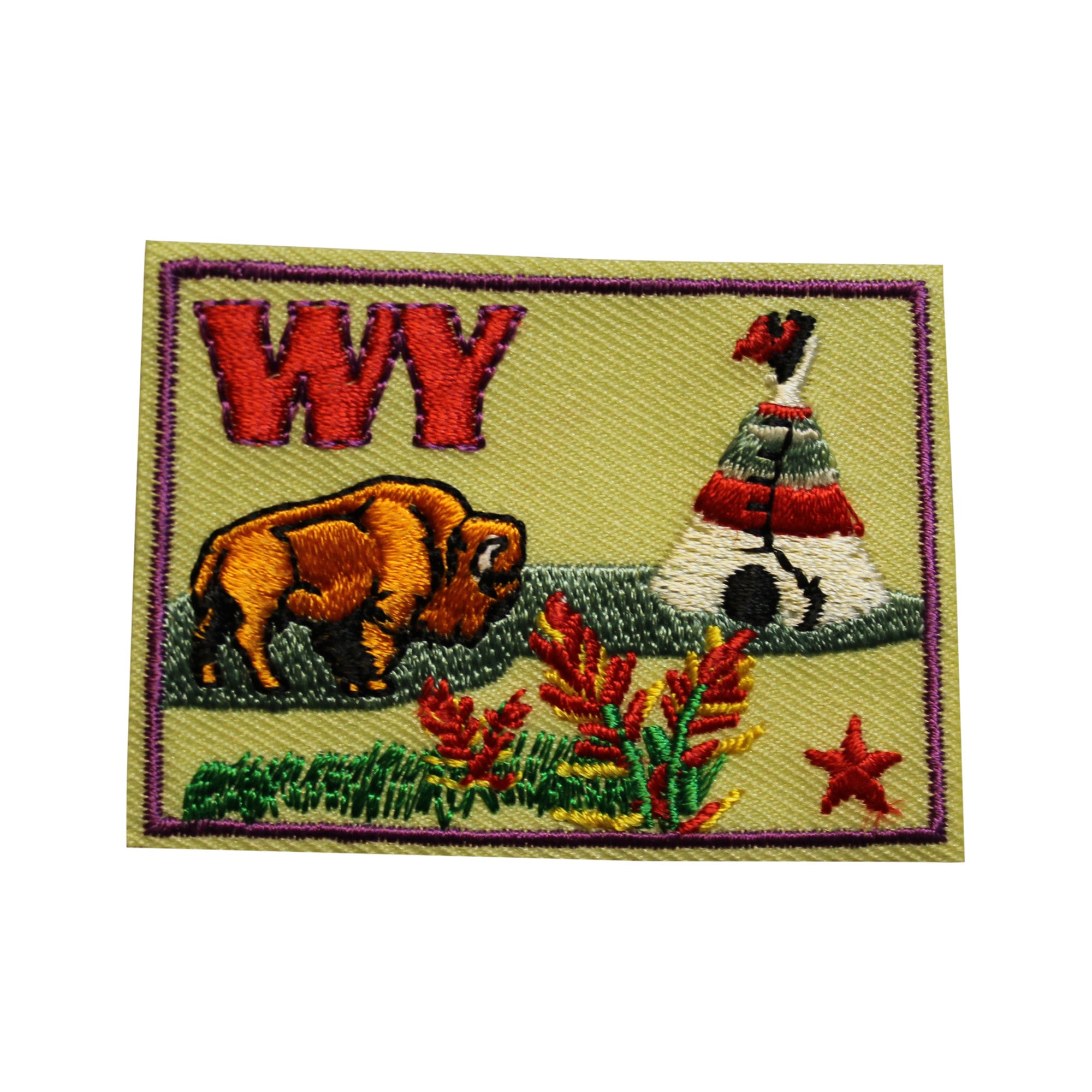  Wyoming State Flag Embroidered Patch Velcro®-Brand Fasteners WY  Emblem : Everything Else