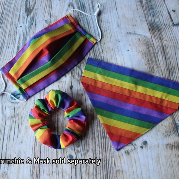 Rainbow Multicolour Pride Handmade Collar Slip On Dog Pet Bandana Matching Owner Scrunchie & Face Mask