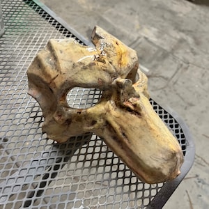 Death (Darksiders 2) Mask