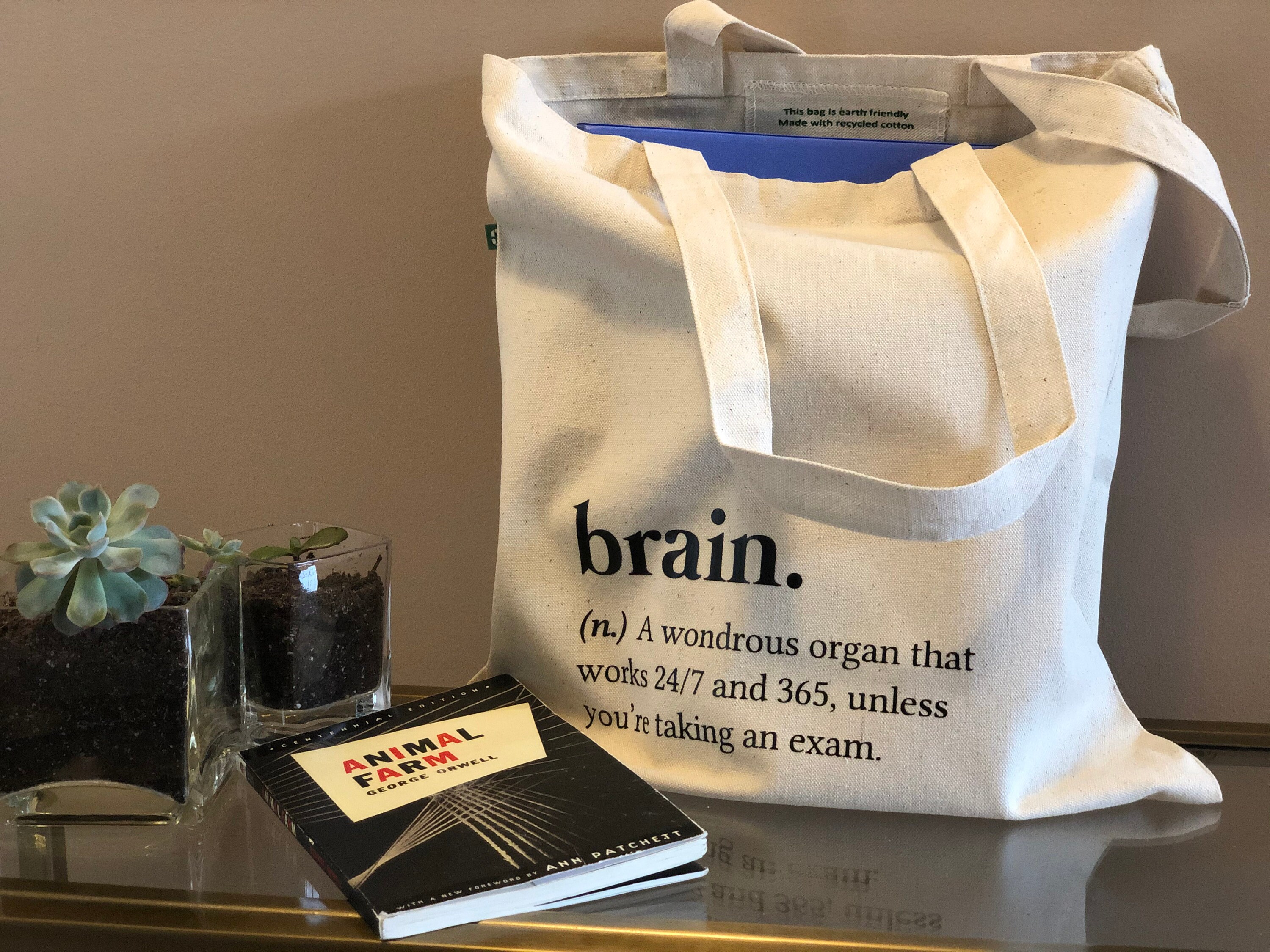 Brain Eco Friendly Recycled Canvas Tote Bag Definition Bag Etsy