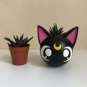 Könnte beinhalten: Ein schwarzer Katzen-Pflanztopf mit rosa Innenohren, weißen Augen und einem gelben Halbmond. Ein kleiner brauner Topf mit einer Sukkulentenpflanze befindet sich neben dem Katzen-Pflanztopf. Beide Töpfe stehen auf einer weißen Oberfläche.