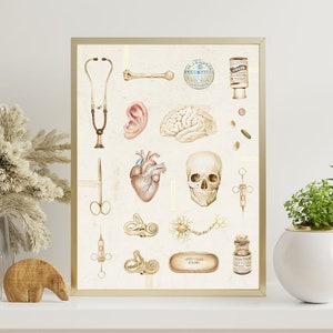 Vintage Anatomy Art Print, medical art poster brain anatomical heart skull bone medicine stethoscope syringe large wall art decor