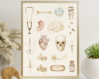 Vintage Anatomy Art Print, medical art poster brain anatomical heart skull bone medicine stethoscope syringe large wall art decor