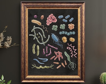 Bacteria Art Print, Microbiology Science Poster, Biology Lab Decor