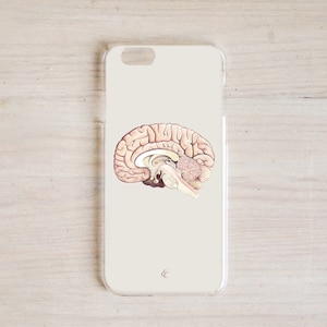 May include: A white iPhone case with a detailed illustration of a human brain in a light pink color.