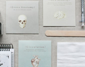 Anatomical Greeting Card Set, Brain, Heart, Skull, Doctor Gift