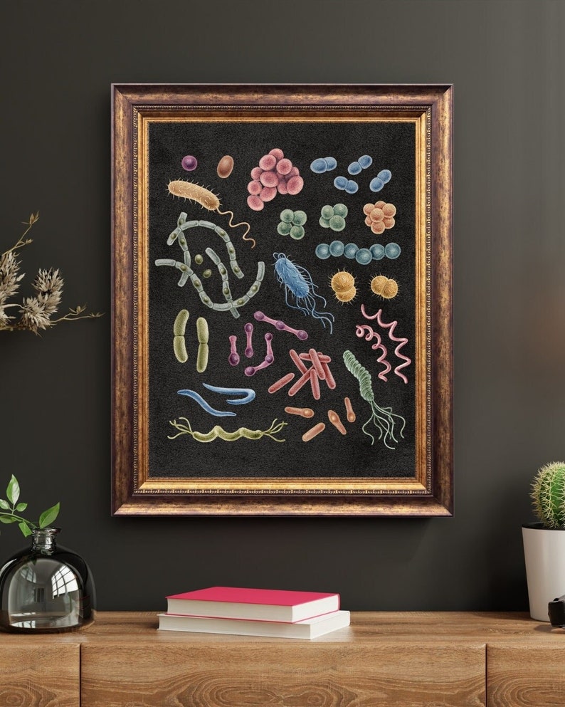 Bacteria Art Print Poster Microbiology Science Bioscience Biotechnology ...