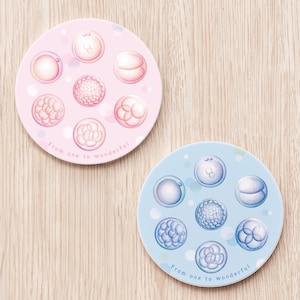 Embryo ceramic custom coaster, pregnancy announcement IVF fertility Gift gynecologist embryologist OBGYN doctor nurse midwife obstetrics
