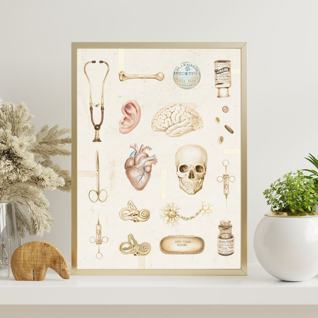 Vintage Anatomy Art Print, Medical Art Poster Brain Anatomical Heart ...