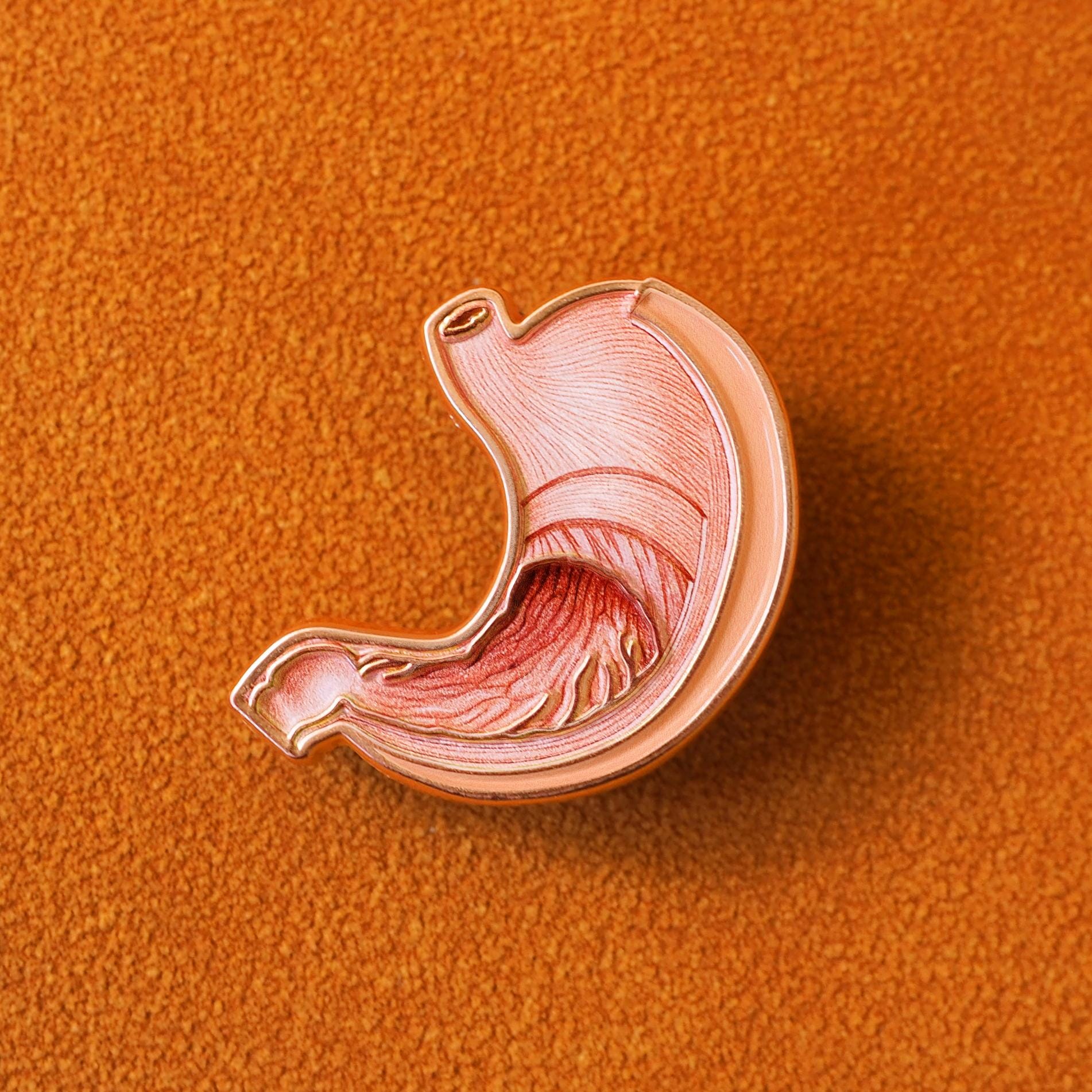 Custom Stomach Anatomy Enamel Pin – Personalized Medical Gift for Doctors, Gastroenterologists, Med Students Human Organ Lapel Pin
