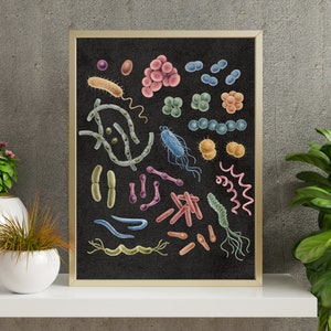 Bacteria Art Print Poster Microbiology Science Bioscience Biotechnology ...