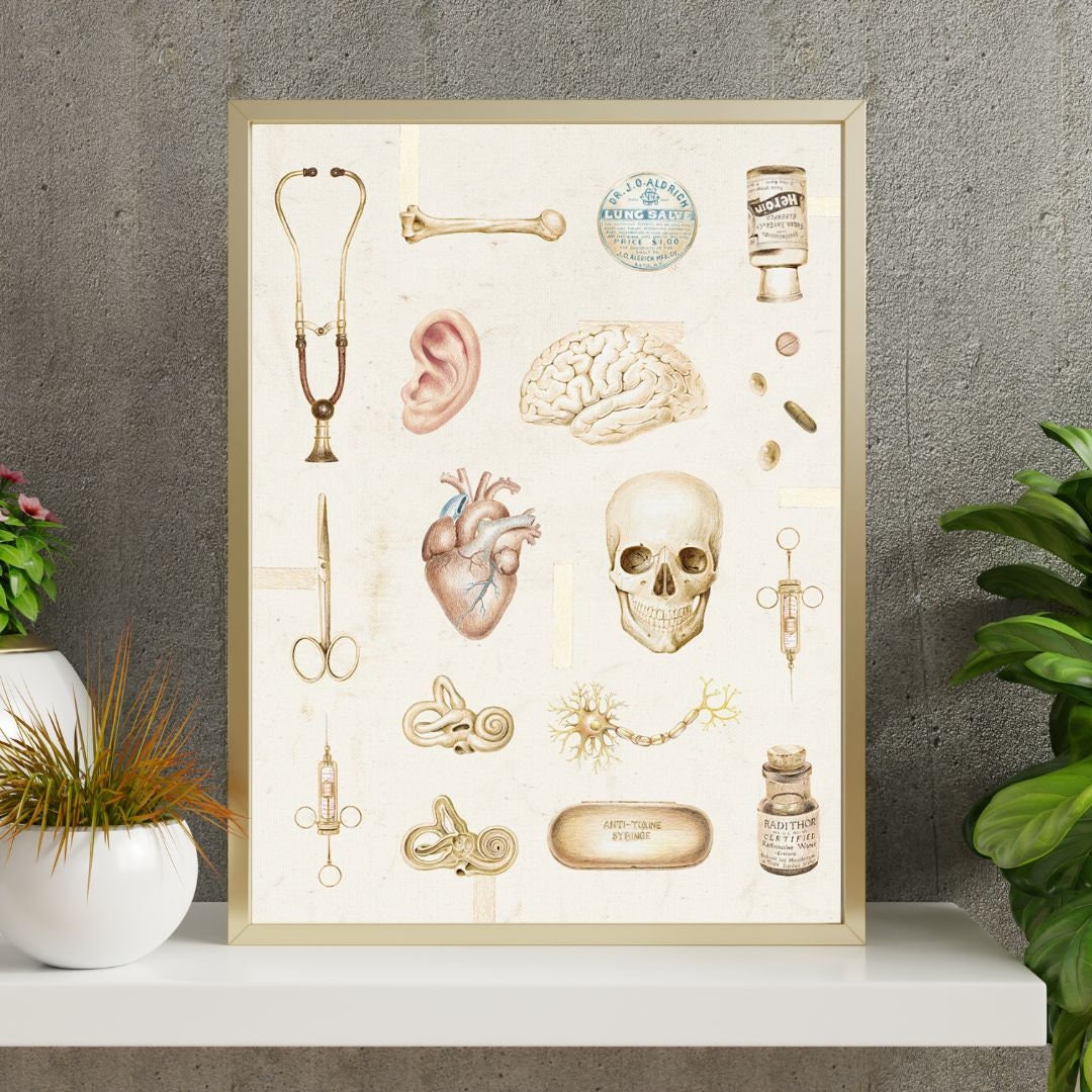Vintage Anatomy Art Print, Medical Art Poster Brain Anatomical Heart ...