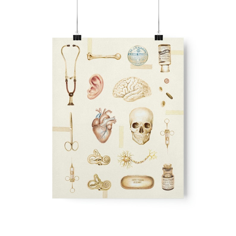 Vintage Anatomy Art Print, Medical Art Poster Brain Anatomical Heart ...