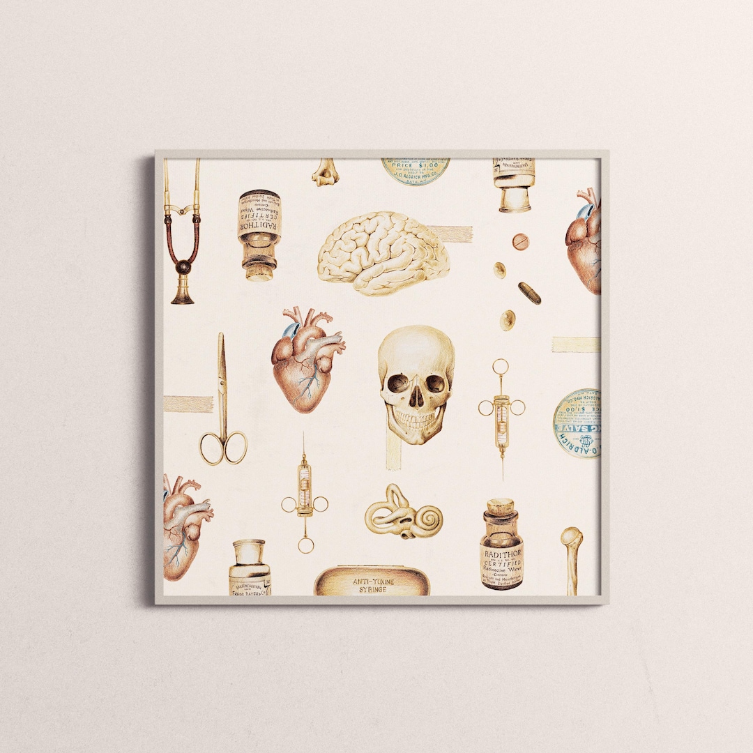 Anatomy Art Print Brain Anatomical Heart Bone Skull Medicine Retro ...