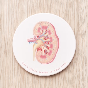 kidney personalized coaster, gift for doctor, medical student gift, future doctor, medical art, anatomy art, nephrologist, renal artery