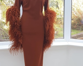 May include: A rust-colored dress with long sleeves and a high neck. The sleeves are trimmed with brown feathers.