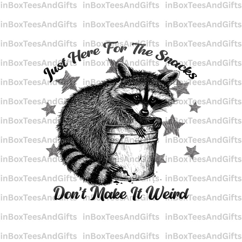 Funny Raccoon PNG