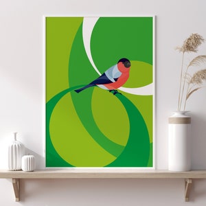 Uccelli da giardino – poster di uccelli "Ciuffolotto" | illustrazione colorata per gli amanti degli uccelli | Decorazione murale per soggiorno, cameretta dei bambini | Primavera e natura