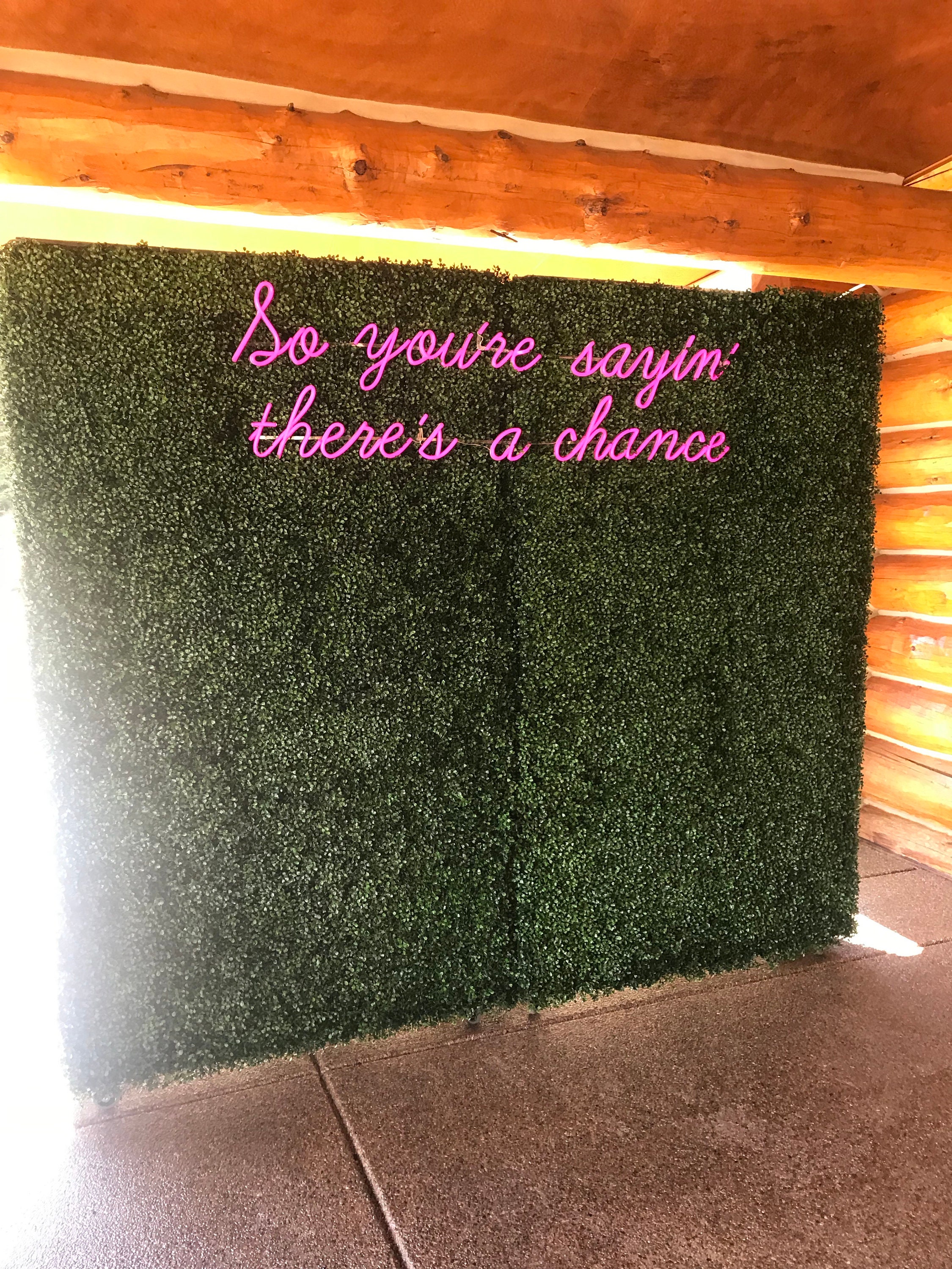 Artificial Boxwood Hedge Backdrop Rental Only | Etsy