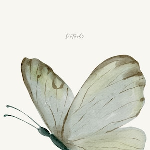 Puede incluir: Ilustraci&oacute;n a la acuarela de una mariposa con alas verde p&aacute;lido y marr&oacute;n. Las alas de la mariposa est&aacute;n detalladas con l&iacute;neas delicadas. La palabra "Details" est&aacute; escrita en cursiva encima de la mariposa.