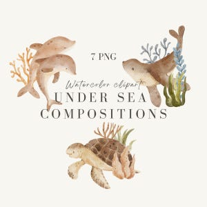 Aquarell Unterwasser süße Tiere, Wale, Delfine, Seelöwe, Möwen, Muscheln & Algen PNG, Meereskompositionen für Kinderzimmerkunst, Druck