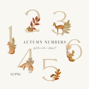 Aquarelle automne forêt numéros 1-12, anniversaire numéros PNG, clipart automne, renard aquarelle, cerf, escargot, hérisson, clipart aquarelle