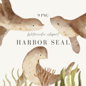 Aquarell Seehund & Algen Clipart, Unterwasser Illustrationen, handgemalter digitaler Download für Babyparty, Kinderzimmer Dekor, Drucke