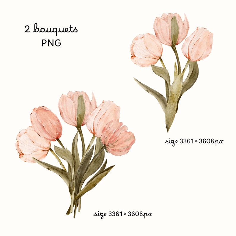 Puede incluir: Dos ramos de tulipanes rosa p&aacute;lido con tallos y hojas verdes. La imagen est&aacute; etiquetada como "2 bouquets PNG" y "tama&ntilde;o 3361 x 3608 px".