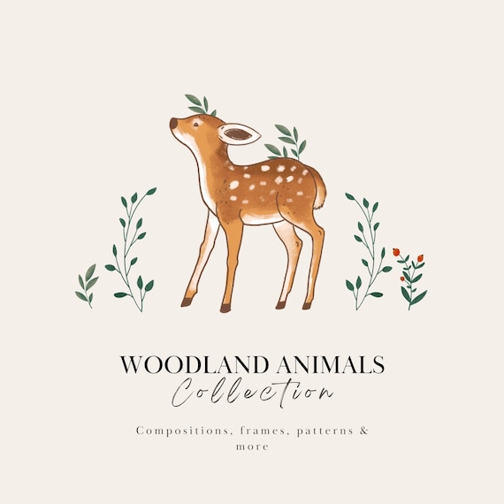 Woodland Animals Clipart: Forest Fox, Deer, Rabbit, Snail, Patterns, Floral, Wreaths (PNG)