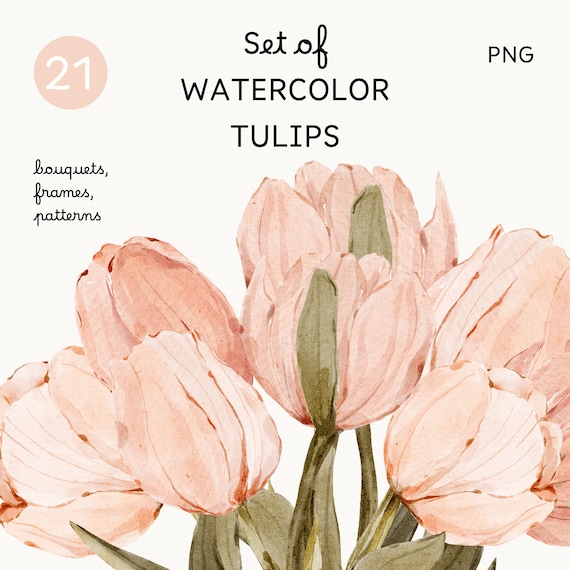Watercolor Pink Tulip Clipart: Bouquets, Frames, Patterns (PNG)
