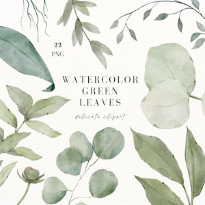 22 aquarel groene bladeren, aquarel bladeren png, aquarel botanisch, aquarel bloemen clipart, groen blad png, aquarel clipart set