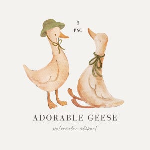 Gansos fofos em aquarela, ganso no quintal, ganso com laço, animais fofos desenhados à mão, clipart em aquarela para chá de bebê, arte para berçário