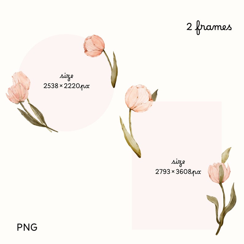 Puede incluir: Dos marcos digitales con ilustraciones de acuarela de tulipanes rosas con tallos verdes. Los marcos tienen un tama&ntilde;o de 2538 x 2220 p&iacute;xeles y 2793 x 3608 p&iacute;xeles.