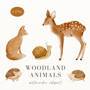 8 aquarel bosdieren clipart, aquarel vos, eekhoorn, slak, hert, egel png, schattige dieren illustratie, kinderkamer kunst aan de muur