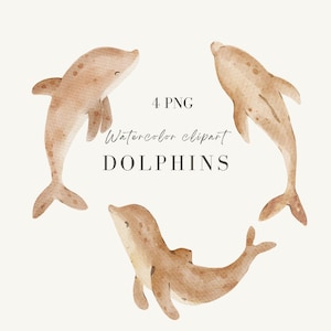 Watercolor Cute Dolphin Clipart, Under Sea Illustrations, Hand-Painted Digital Download for Baby Shower, Nursery Decor, Prints