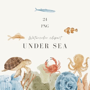 Unterwasser Aquarell PNG, Schildkröte, Oktopus, Krabbe, Seelöwe, Algen & Muscheln, handgezeichneter digitaler Download für Babyparty, Kinderzimmer Dekor