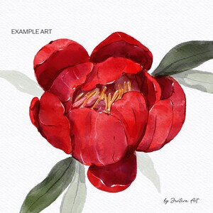 Pode incluir: Uma pintura em aquarela de uma &uacute;nica flor de pe&ocirc;nia vermelha com folhas verdes. A flor est&aacute; em plena flora&ccedil;&atilde;o e as p&eacute;talas s&atilde;o macias e delicadas. A pintura &eacute; assinada "by Jenteva Art" no canto inferior direito.