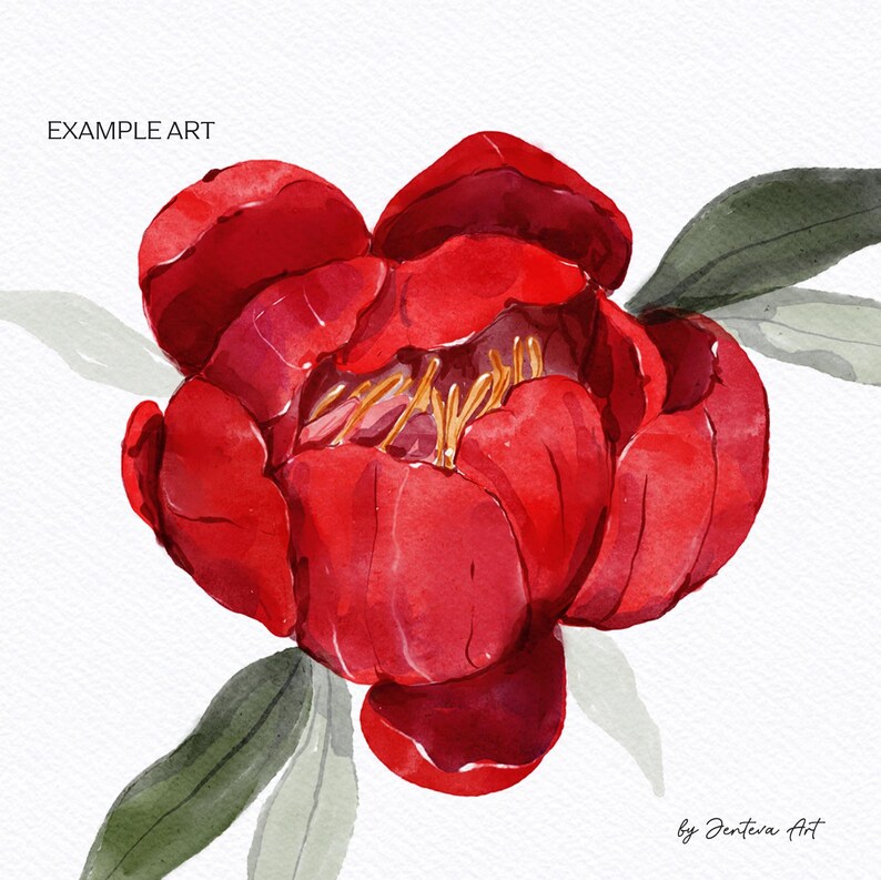 Pode incluir: Uma pintura em aquarela de uma &uacute;nica flor de pe&ocirc;nia vermelha com folhas verdes. A flor est&aacute; em plena flora&ccedil;&atilde;o e as p&eacute;talas s&atilde;o macias e delicadas. A pintura &eacute; assinada "by Jenteva Art" no canto inferior direito.